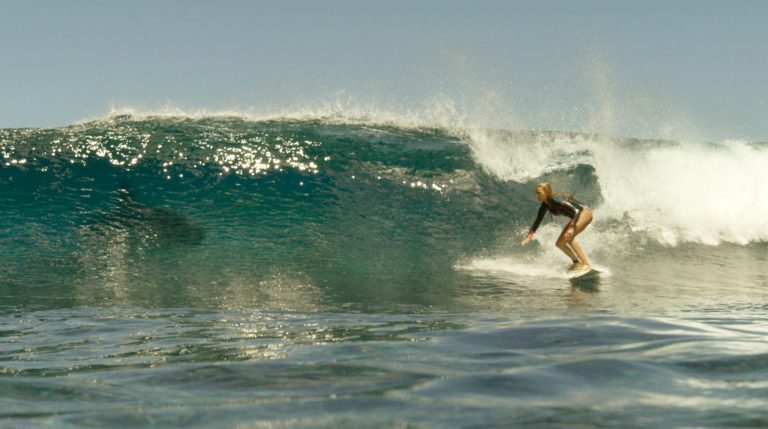 an example of animal horror movie pictured here a shark is lurking in the waters against a surfer