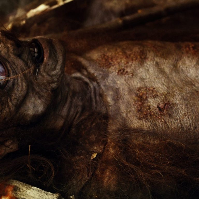 15+ Bigfoot Movies: Sasquatch in Cinema – Creepy Catalog