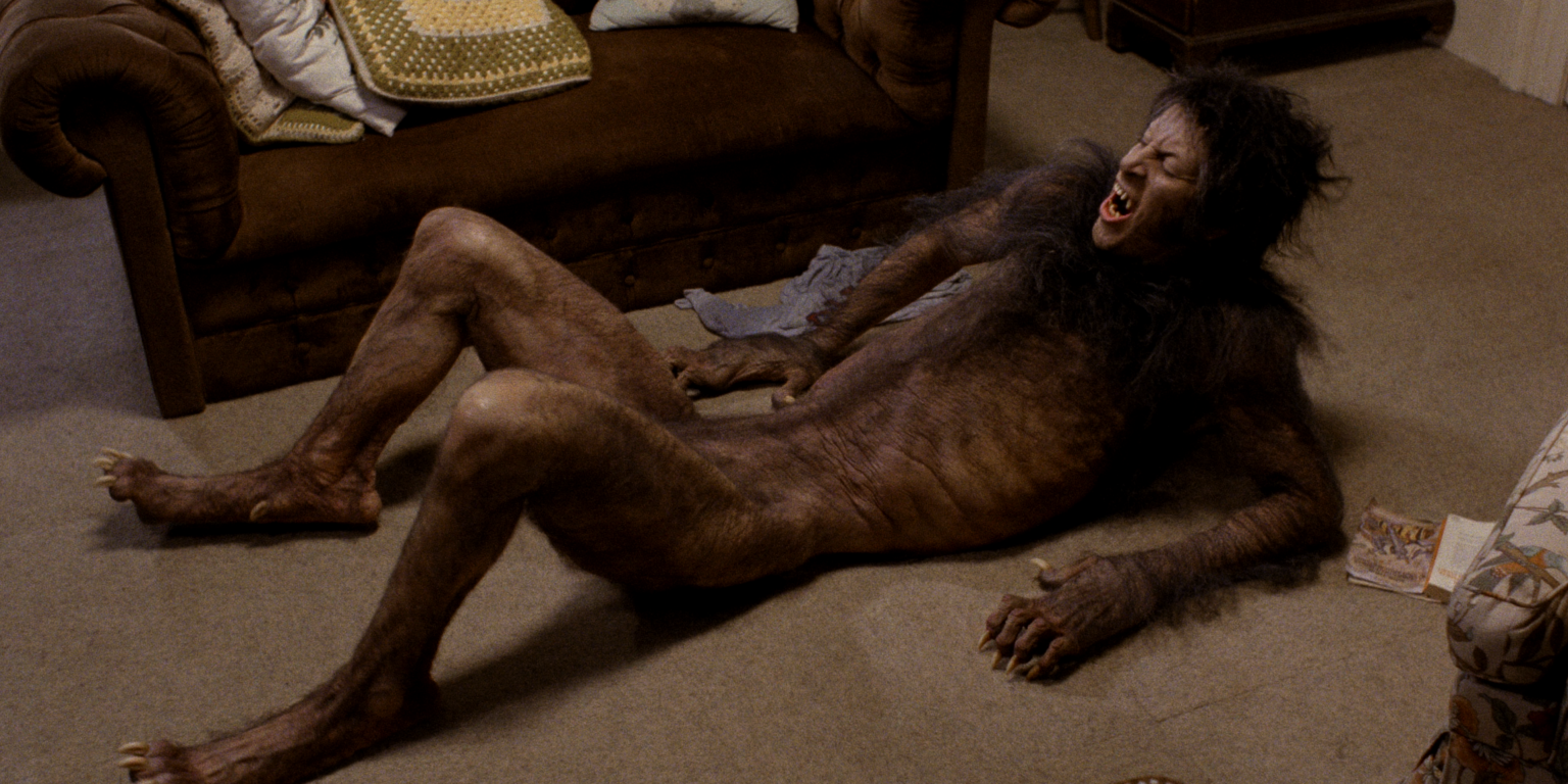 30+ Best Werewolf Movies Ever Made – Creepy Catalog