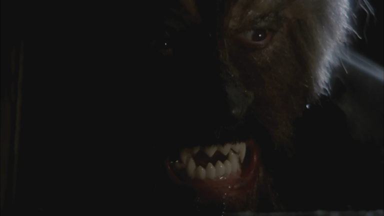 Paul Naschy in Night of the Werewolf (1981).
