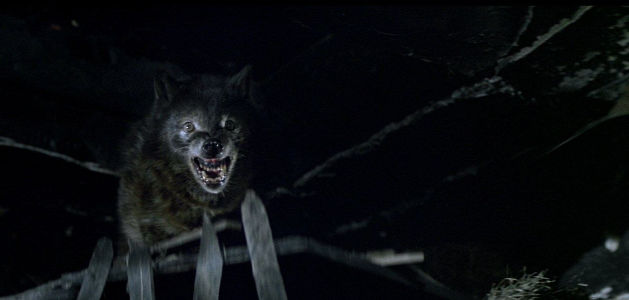 Wolfen (1981).
