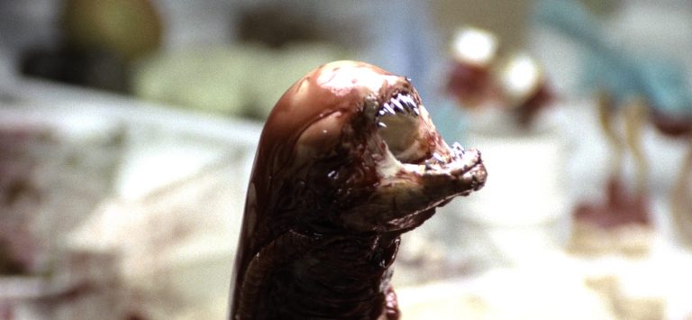 a chestburster from Alien (1979)