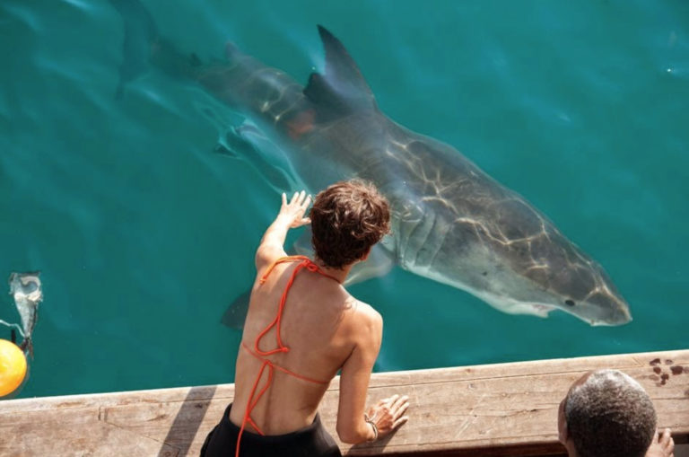 If you like your killer shark movies mindless and fun, bite into “The Meg”