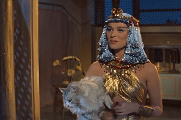 Egypitian erotic movie