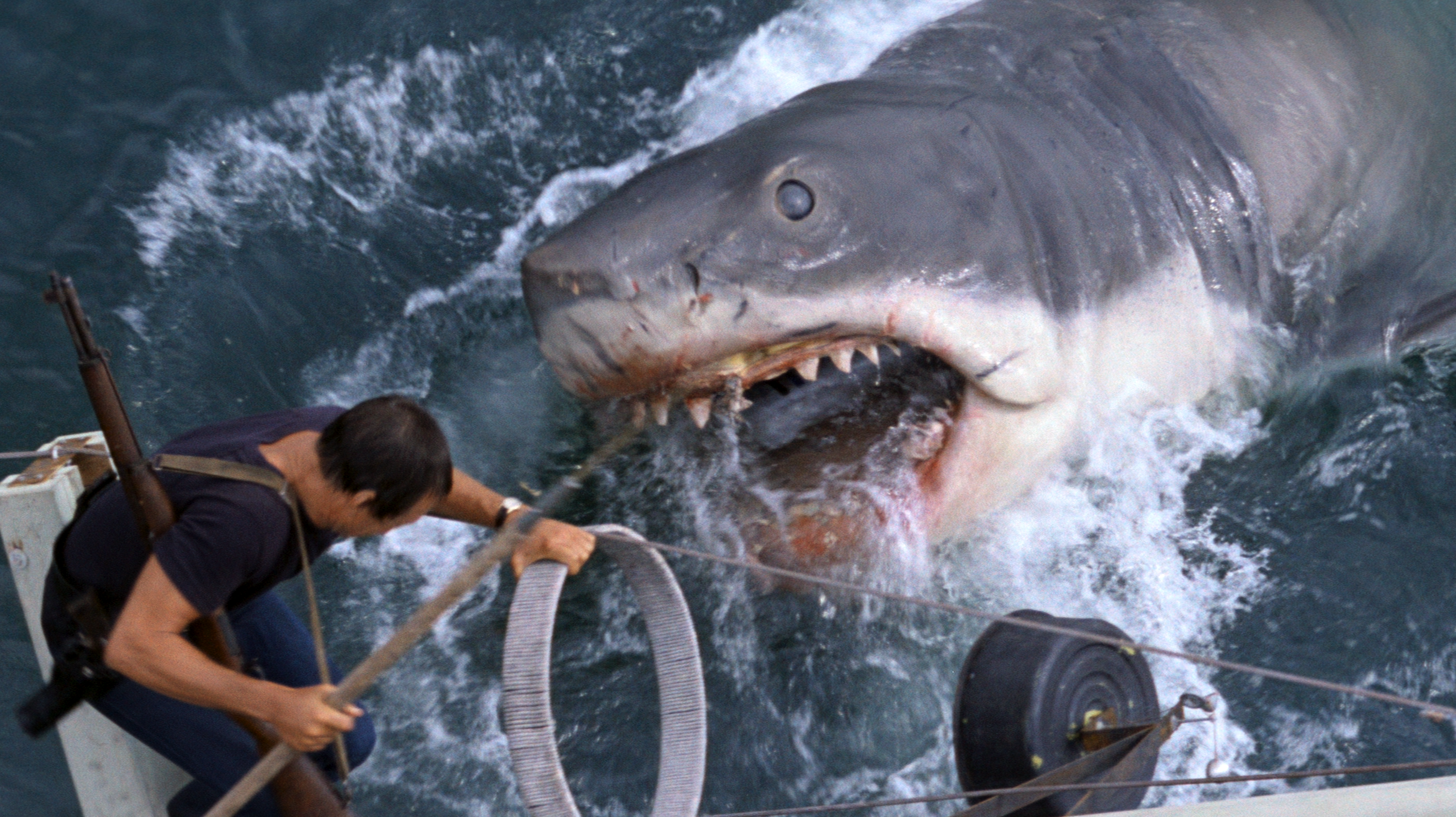 38 Shark Attack Movies That Will Keep You on Dry Land