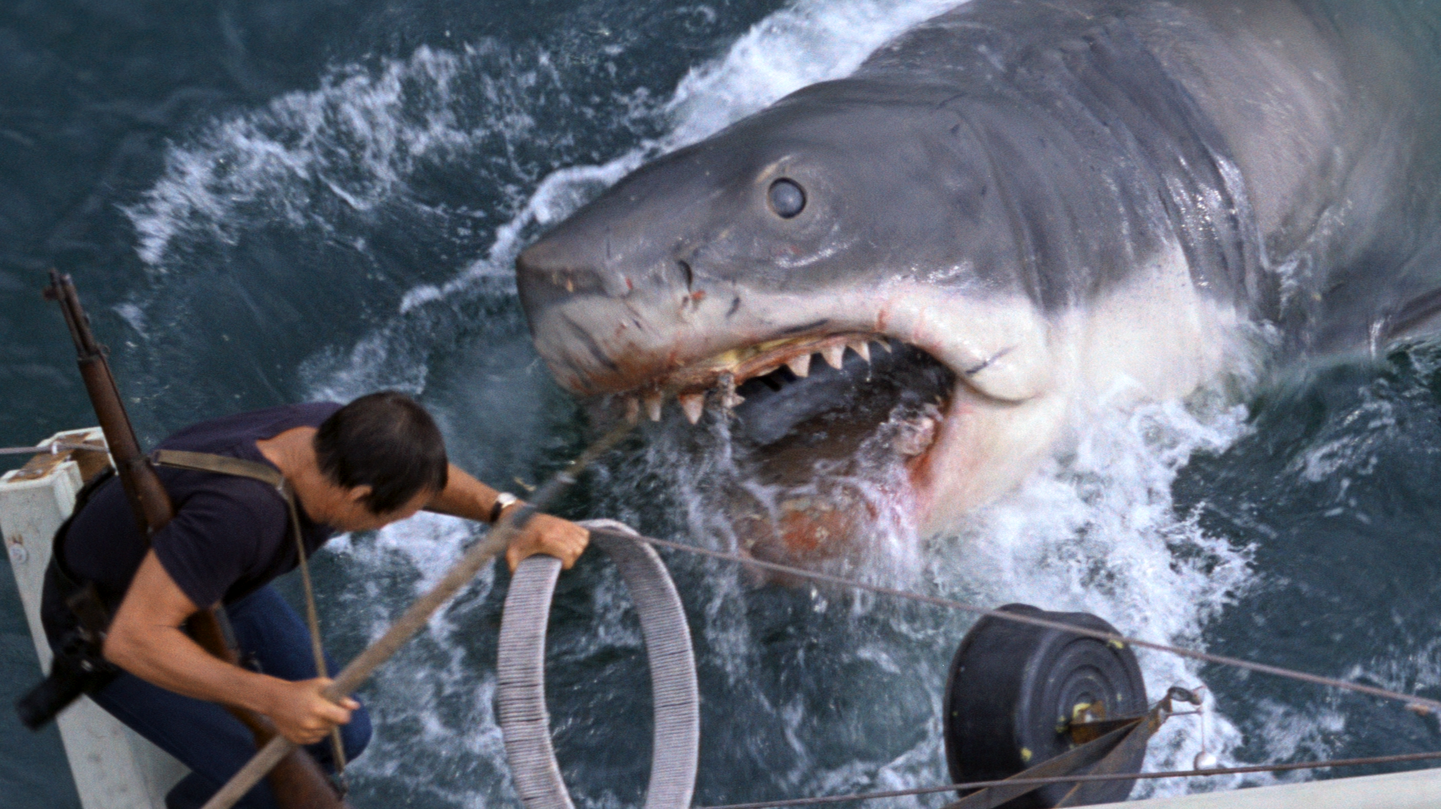 38 Shark Attack Movies That Will Keep You on Dry Land Creepy Catalog