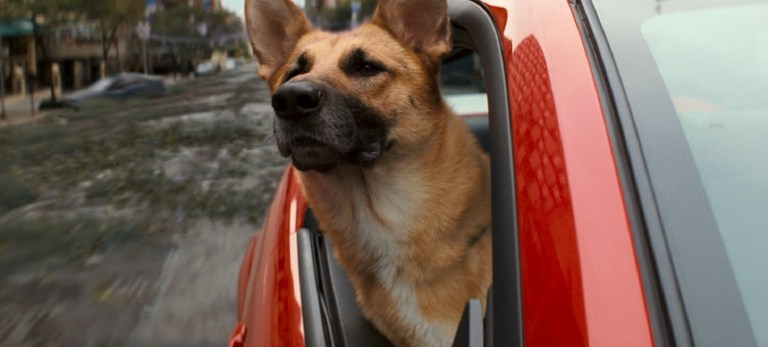 Abbey as Samantha in I Am Legend (2007).