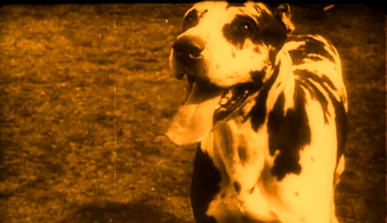 Der Hund von Baskerville (1914).