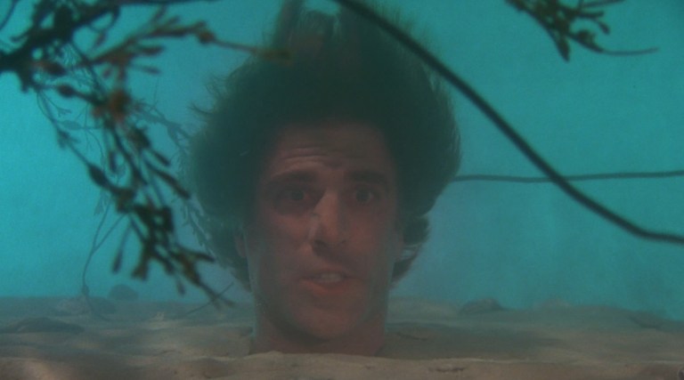 Ted Danson in Creepshow (1982).