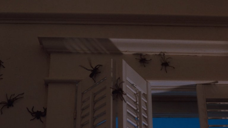 ‘arachnophobia 1990 31 Spider Filled Facts And Trivia About The Horror Comedy Classic 3581