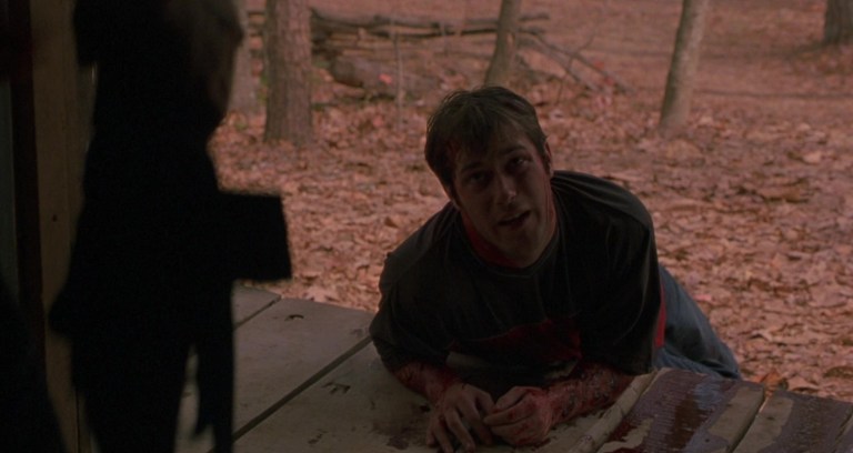 Cabin Fever (2002)