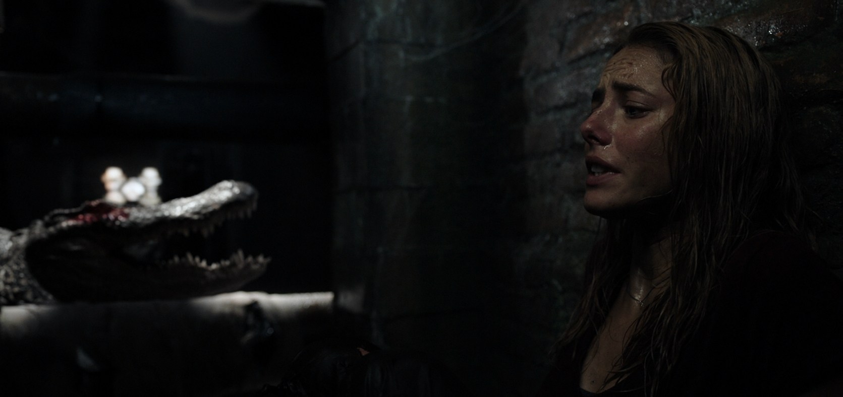 11+ Best Survival Horror Movies – Creepy Catalog