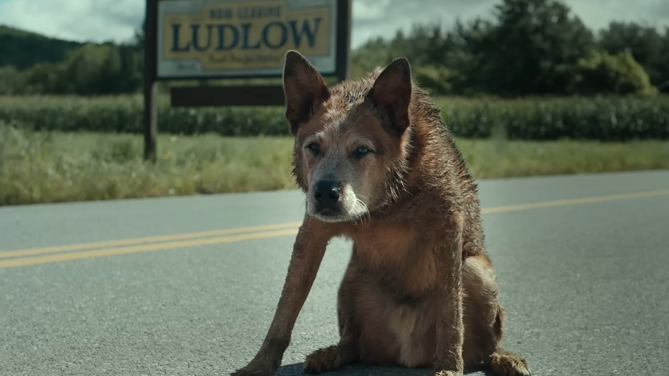 The Best Horror Movies on Paramount Plus (Paramount+) in December 2023