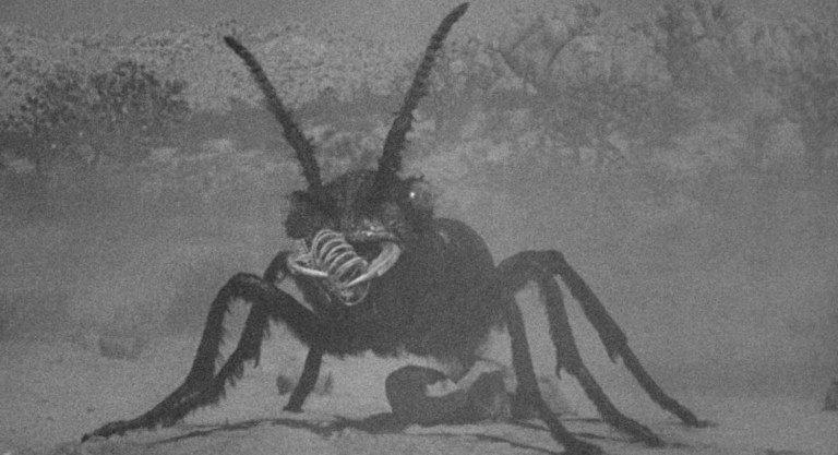 A giant ant in Them! (1954)