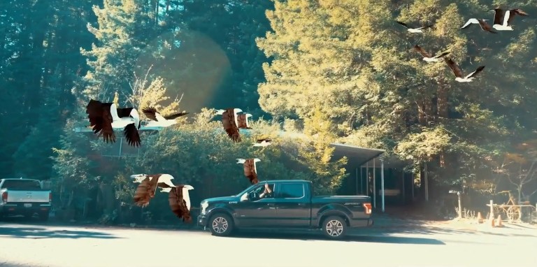 Birds attack a truck in Birdemic 3: Sea Eagle (2022).