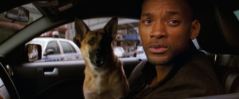 Sam and Neville in I Am Legend (2007).