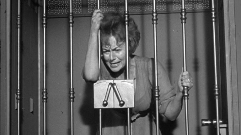 Lady in a Cage (1964)