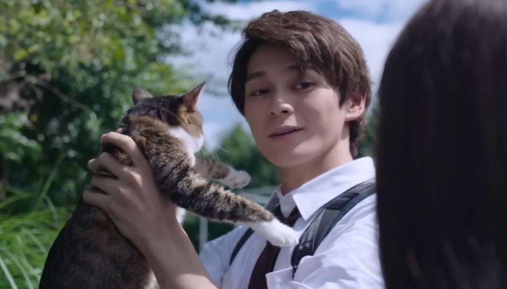 100+ of the Best Horror Movies of 2023, Ranked