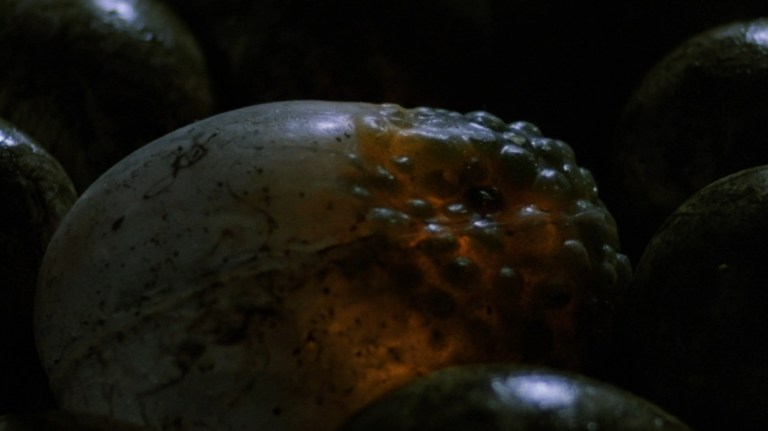 An alien eggs in Contamination (1980).