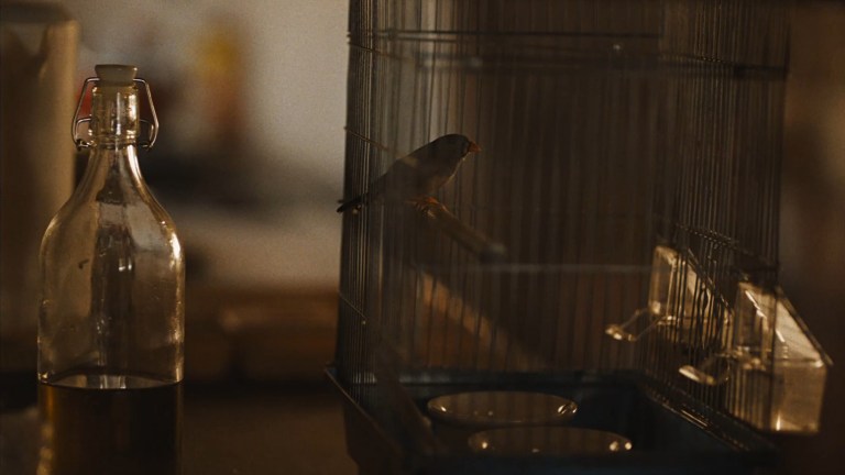 A bird in a cage in a shack in a canyon in The Seeding (2023).