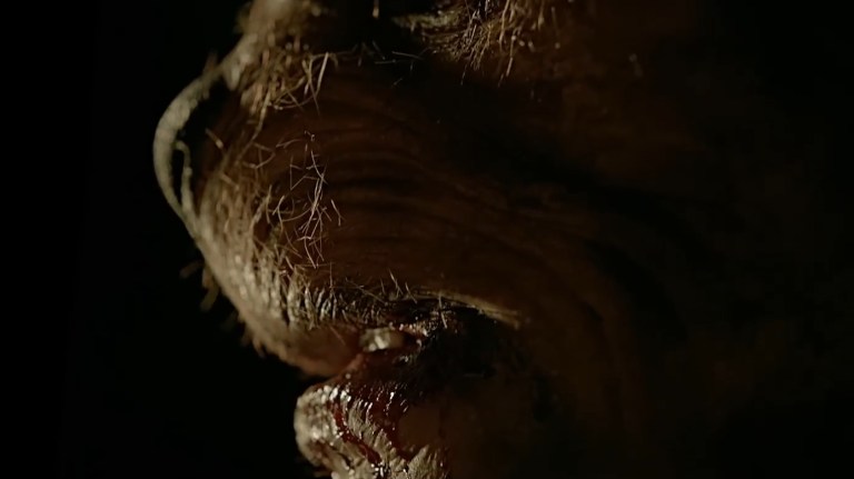 A close-up of Pooh's snout in Winnie-the-Pooh: Blood and Honey 2.