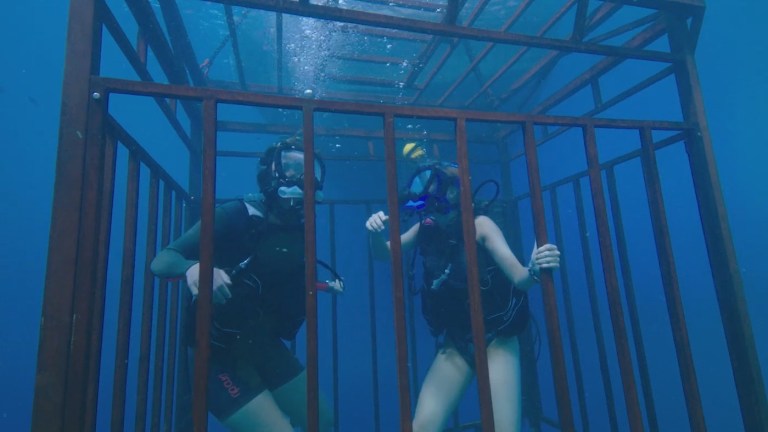 Two women with scuba gear trapped inside a shark cage in 47 Meters Down (2017).