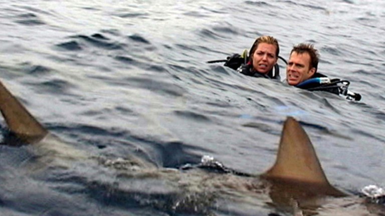 A couple stranded in the ocean without a boat see a shark swimming by in Open Water (2003).