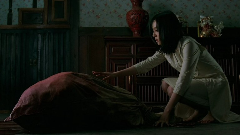 Su-mi reaches towards the bloody bag in A Tale of Two Sisters (2003).
