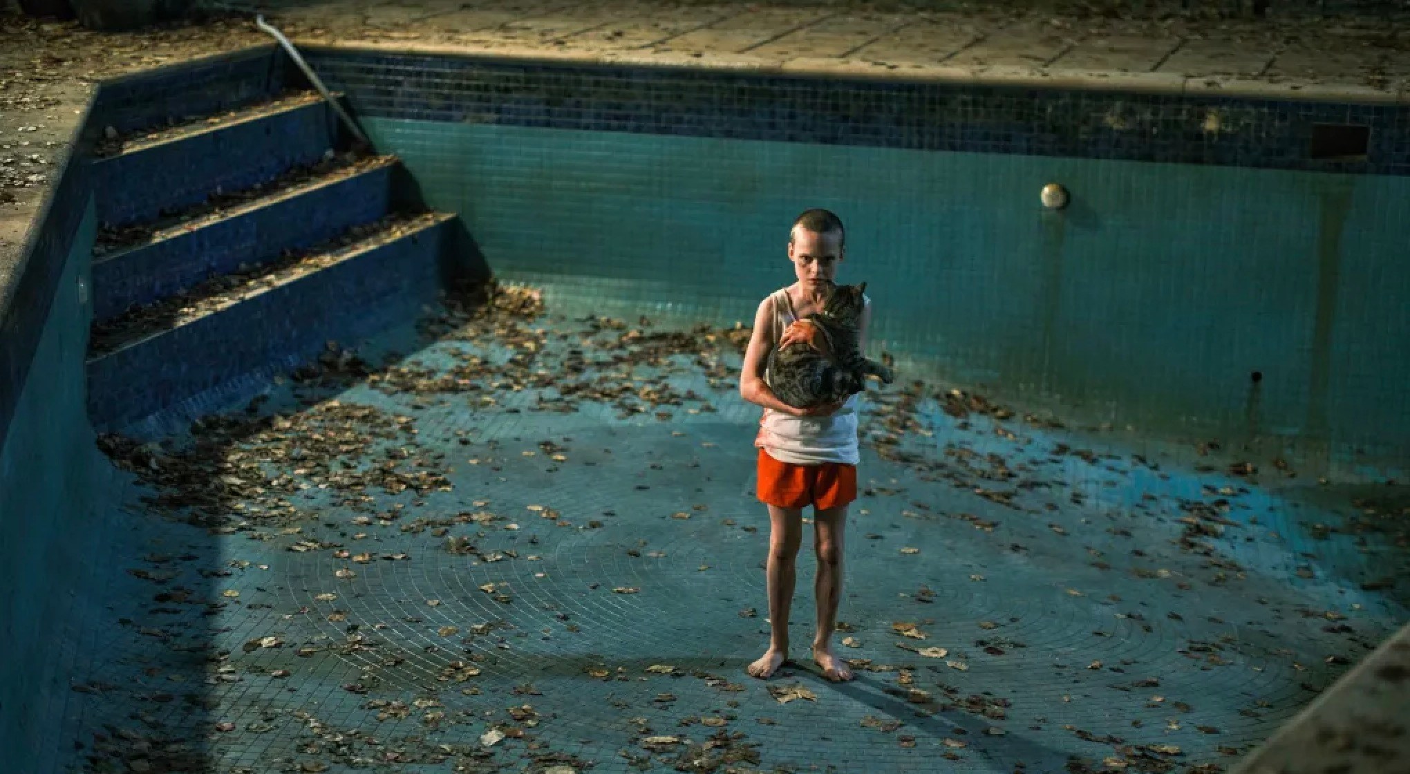 Skeleton In Pool 8+ Swimming Pool Horror Films – Creepy Catalog
