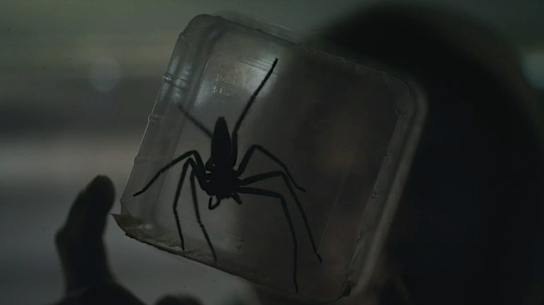 A spider in a jar as seen in Infested (2023).