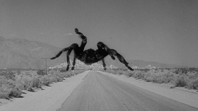 A giant tarantula on a desert road in Tarantula (1955).