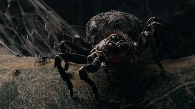 A spider looks menacing in 7 Guardians of the Tomb (2018).