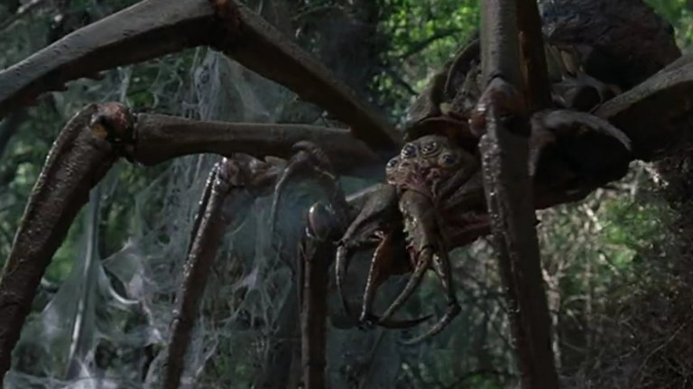 A giant spider in a forest as seen in Arachnid (2001).
