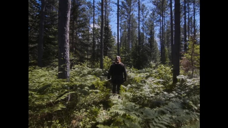 The forest surrounds Johnny in In a Violent Nature (2024).