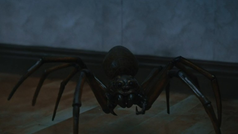A large spider crawls across the floor in Itsy Bitsy (2019).