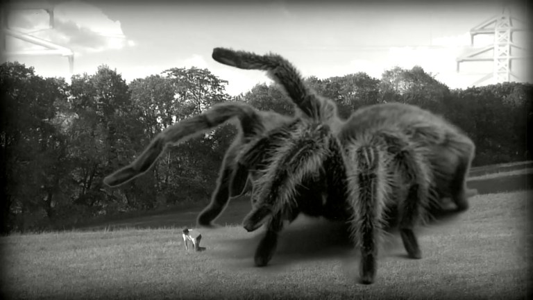 A giant spider pursues a person in a field in The Giant Spider (2013).