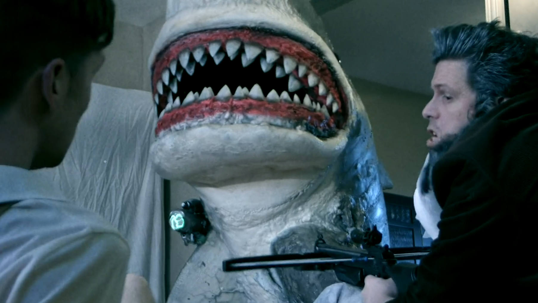 11+ Dumbest Shark Movies You Can Stream For Free During Shark Week (or ...