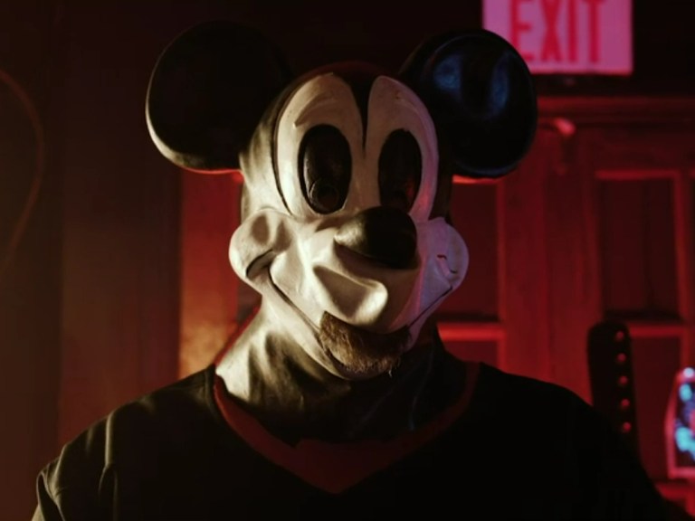 Mickey Mouse Trap House