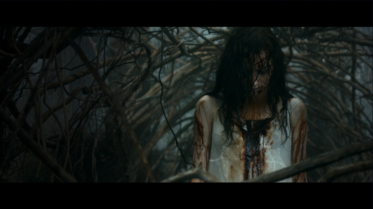 Evil Dead (2013)