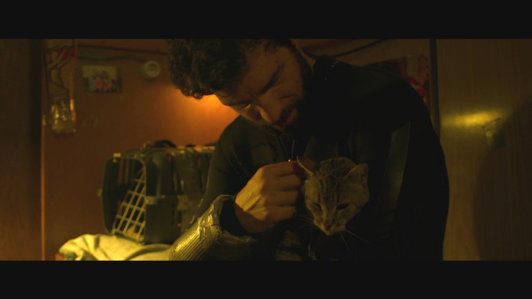 Apocalypse Z: The Beginning of the End (2024)