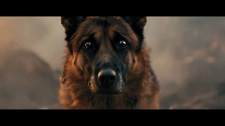 A Breed Apart (2025)