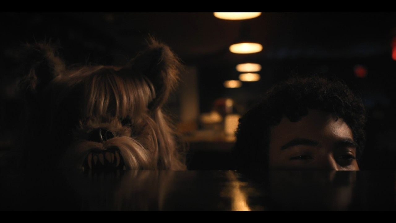 The Yorkie Werewolf (2024)