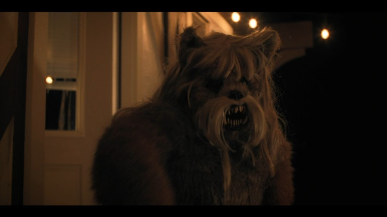 The Yorkie Werewolf
