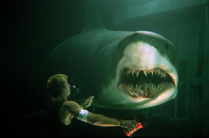 5 Scary Shark Horror Movies to Watch in Anticipation of ‘Shark Week’ on the Discovery Channel