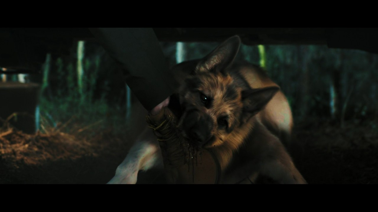 A Breed Apart (2025)