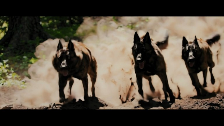 A Breed Apart (2025)