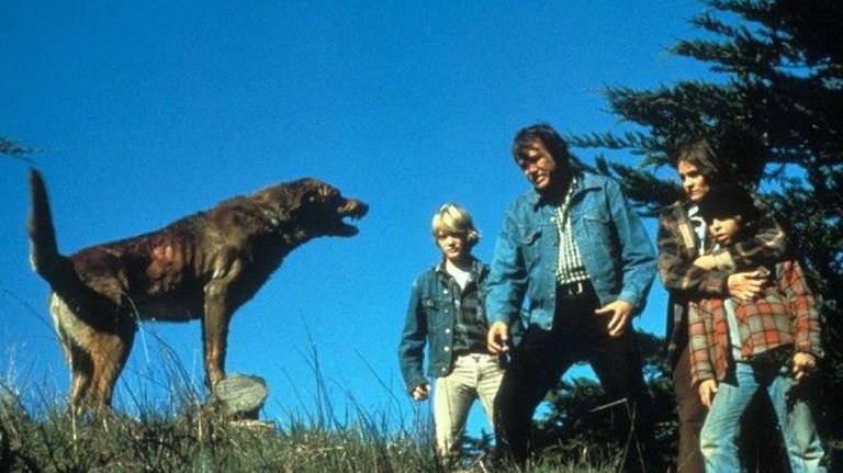 Joe Don Baker faces off against an angry dog in The Pack (1977).