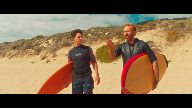 The Surfer (2024)