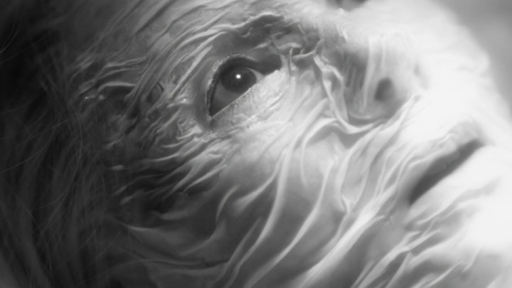 Your Daily Horror Digest for July 11, 2025