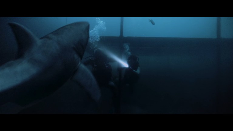 Great White Waters